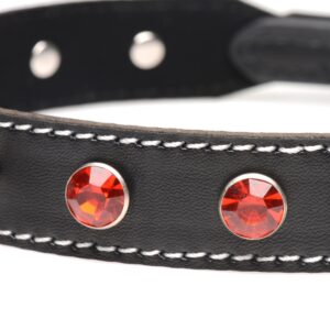 ag893-red-004b